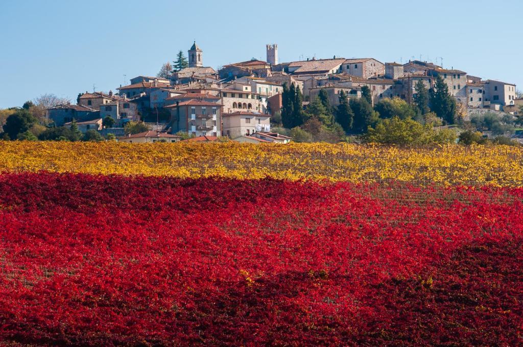 Hotel La Piccola Stazione Torrita di Siena Εξωτερικό φωτογραφία